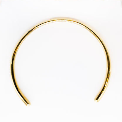 The Essential Torque Necklace